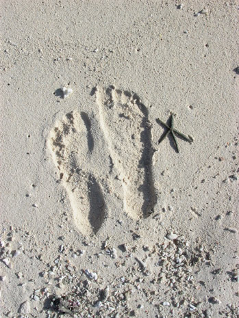 &copy; Christian and Helga von Alvensleben
